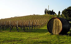 images/tours/cities/tuscany-landscape.jpg